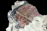 Rainbow Tourmaline (Elbaite) in Quartz - Leduc Mine, Quebec #133009-2